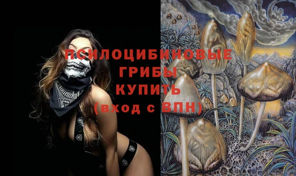 гашик Алзамай